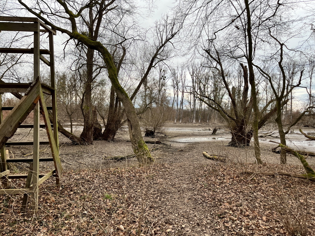 23-02-18 16-04-16 4273